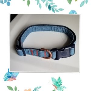 Levi's dog collar